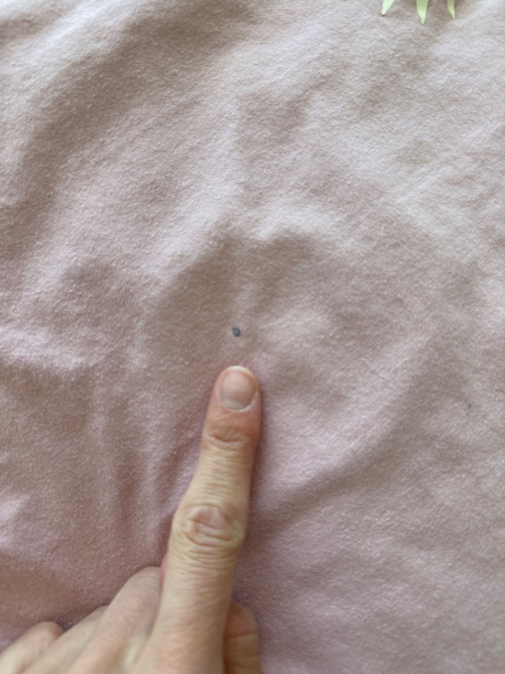 next Mauve Pink Short Sleeve Tee with White Sun Patch - Picture 7 of 8